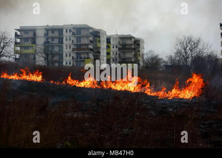 Un incendio di prati nei pressi di un grande complesso residenziale a Lublino. Foto Stock
