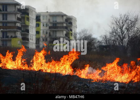 Un incendio di prati nei pressi di un grande complesso residenziale a Lublino. Foto Stock