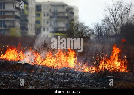 Un incendio di prati nei pressi di un grande complesso residenziale a Lublino. Foto Stock