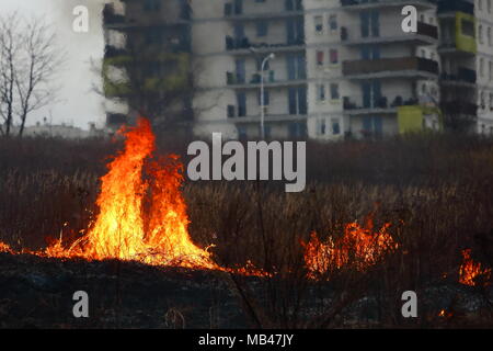 Un incendio di prati nei pressi di un grande complesso residenziale a Lublino. Foto Stock