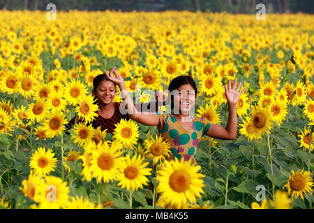 Noakhali, Bangladesh - Aprile 06, 2018: i bambini del Bangladesh gioca con semi di girasole in un girasole terreni agricoli a Noakhali area, Bangladesh. La zona di coltura del girasole nel quartiere è triplicato negli ultimi due anni come gli agricoltori locali sono sempre più interessati a coltivarla per ottenere un olio commestibile a costi inferiori. Foto Stock