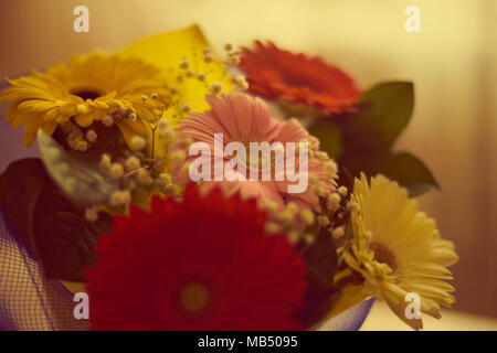Bouquet di fiori di gerbera Foto Stock