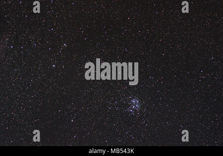 Aprire cluster a stella delle Pleiadi nella costellazione del Toro Foto Stock