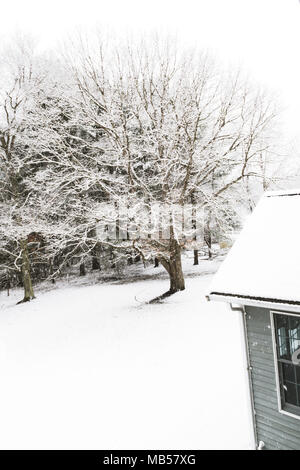 Nel cortile della casa di lusso in tempesta di neve, New England, STATI UNITI D'AMERICA Foto Stock