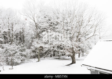 Nel cortile della casa di lusso in tempesta di neve, New England, STATI UNITI D'AMERICA Foto Stock