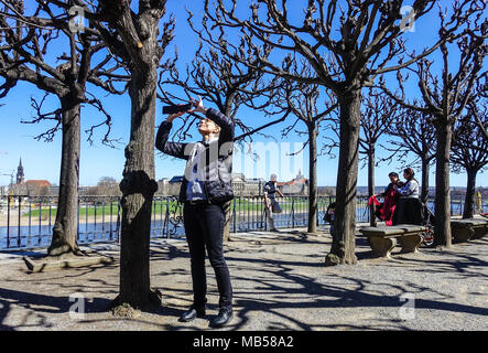 Dresda turista Dresda Terrazza di Brühl Dresda Sassonia, Germania Europa paesaggi primaverili Elba lungofiume primavera alberi di aprile Brühl terrazza turisti Foto Stock