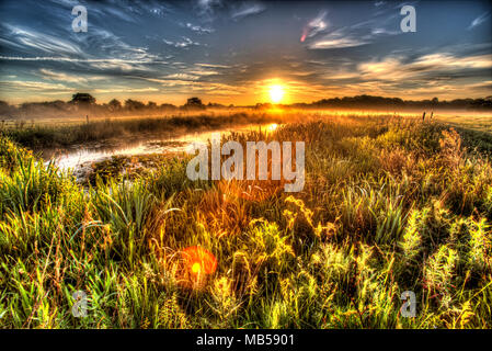 Villaggio di Coddington, Inghilterra. Sunrise artistico vista di un laghetto di acqua dolce in un allevamento di Cheshire campo. Foto Stock