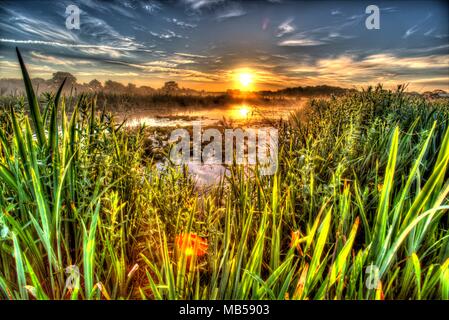 Villaggio di Coddington, Inghilterra. Sunrise artistico vista di un laghetto di acqua dolce in un allevamento di Cheshire campo. Foto Stock