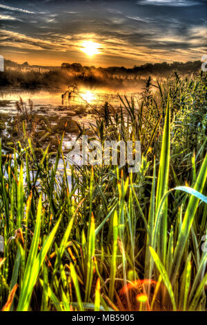 Villaggio di Coddington, Inghilterra. Sunrise artistico vista di un laghetto di acqua dolce in un allevamento di Cheshire campo. Foto Stock