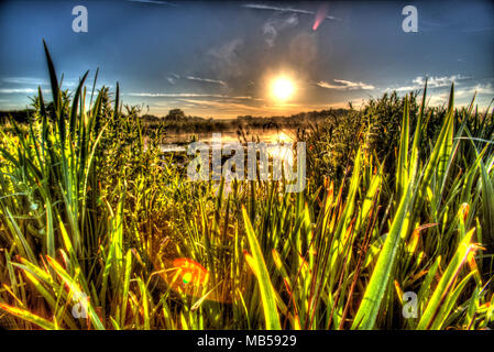 Villaggio di Coddington, Inghilterra. Sunrise artistico vista di un laghetto di acqua dolce in un allevamento di Cheshire campo. Foto Stock