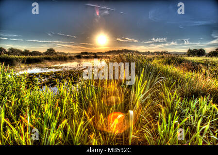 Villaggio di Coddington, Inghilterra. Sunrise artistico vista di un laghetto di acqua dolce in un allevamento di Cheshire campo. Foto Stock