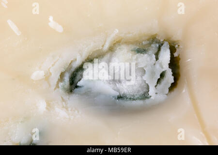 Close-up del tedesco di formaggio a pasta morbida cambozola e lo stampo che sapori. Regno Unito Foto Stock