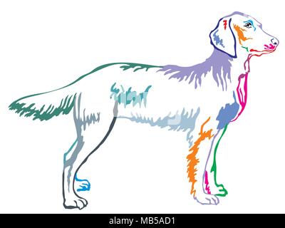 Contorno colorato decorativo di ritratto in piedi di profilo Weimaraner longhair, vettore illustrazione isolato su sfondo bianco Illustrazione Vettoriale