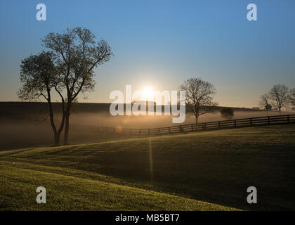 Sole sorge su colline nebbiose del Kentucky con black fence che corre attraverso Foto Stock