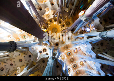 Soffitto - Interno della Sagrada Familia Basilica di Antoni Gaudì a Barcellona, Spagna Foto Stock