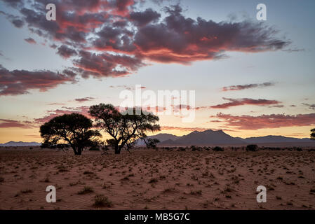 Tramonto sul paesaggio deserta di NamibRand Riserva Naturale, Namibia, Africa Foto Stock
