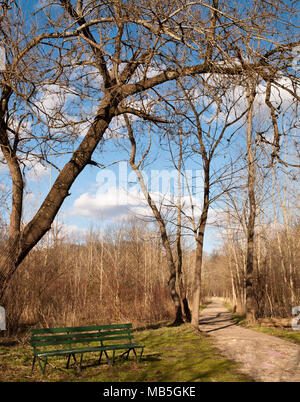 Un banco accanto a un percorso a piedi nel parco di Frick a Pittsburgh, Pennsylvania in primavera Foto Stock