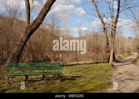 Un banco accanto a un percorso a piedi nel parco di Frick a Pittsburgh, Pennsylvania in primavera Foto Stock