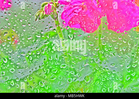 Gocce di acqua su vetro con fiore dietro. Colori vibranti. Sfondo Foto Stock