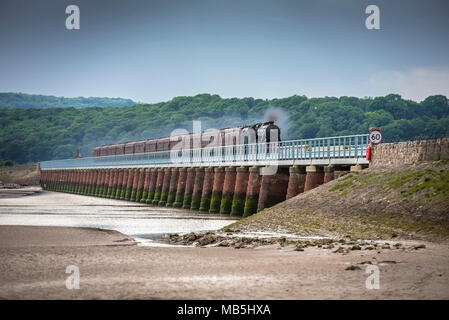 Treno a vapore 48151 Guage O Guild attraversando il Arnside viadotto 14 giugno 2014 trasporta la costa del Cumbria Express. Foto Stock