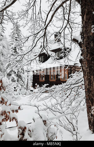 Snowy giorno nel villaggio di montagna con il winter cottage nascosta sotto la spessa coltre di neve. Zakopane - Polonia Foto Stock