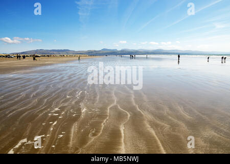 Black Rock Sands si trova nei pressi di Porthmadog in Gwynedd (Galles). La spiaggia è vicina a Snowdonia e la Dune associati formano un SSSI. Foto Stock