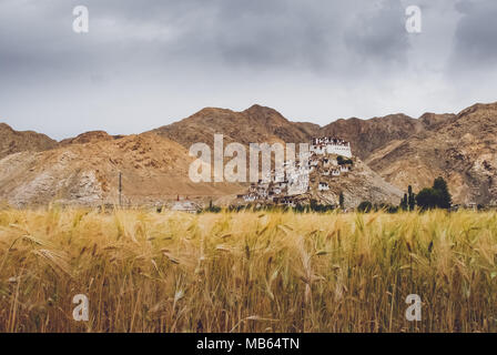 India, Ladakh regione: paesaggi, monasteri e ladakhian vita religiosa foto: Alessandro Bosio Foto Stock