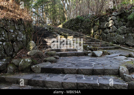 Le scale sulla strada per il Tempio Toshogu. Preso in Nikko, febbraio 2018. Foto Stock