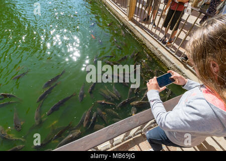 Il mio piccolo cugino getting in fotografia a Siviglia, Spagna Foto Stock