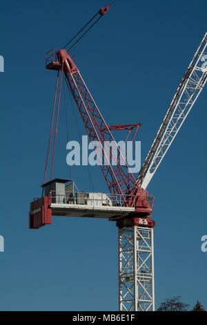 Gru da cantiere a Toronto Foto Stock