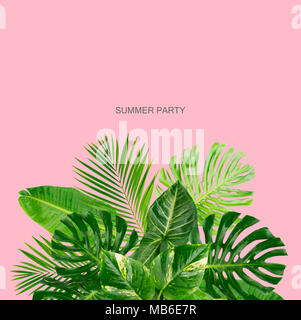 Verde Tropical lascia la cornice sulla pianura sfondo rosa con spazio di copia Foto Stock
