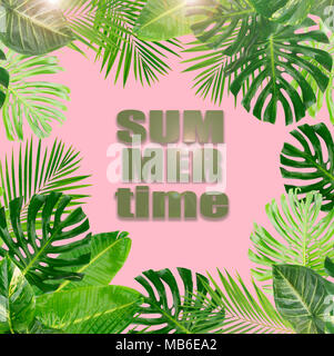 Verde Tropical lascia il telaio su sfondo rosa con orario estivo dei messaggi di saluto Foto Stock