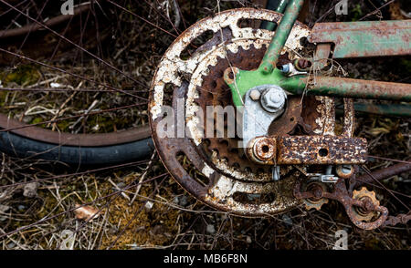 Vintage antique pignone di bicicletta il gruppo ingranaggio e il meccanismo di innesto nella parte anteriore di una ruota a raggi Foto Stock