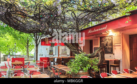 Cafe coperto glicine di Montmartre, Paris, Francia. Foto Stock