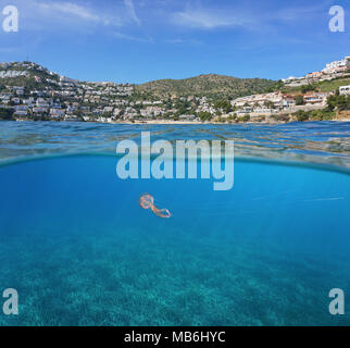 Spagna costa con edifici sulla Costa Brava e Nettuno erba con una medusa subacquea, vista suddivisa al di sopra e al di sotto della superficie, mare Mediterraneo Foto Stock