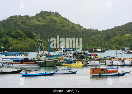 Barche ancorate a Labuan Bajo città sull isola di Flores, Nusa Tenggara, Indonesia. L'economia locale in comune è centrata intorno al porto dei traghetti e a Foto Stock