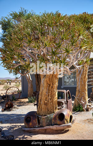 Rusty classic car come decorazione in Canyon Road House, Namibia, Africa Foto Stock