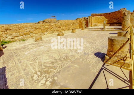 Vista del pavimento a mosaico della chiesa di San Nilo, nel sito archeologico della città di Nabataean di Mamshit, oggi un parco nazionale. Israele sud Foto Stock