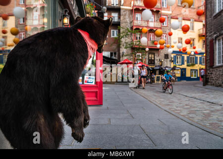 Un orso farcito di attesa per il suo prossimo pasto lungo la rue du Cul de Sac nella città di Québec (Canada). Foto Stock