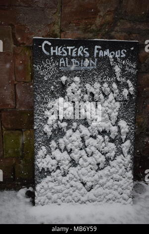 Un segno da Chester storico dell'Albion pub con un sano strato di neve Foto Stock