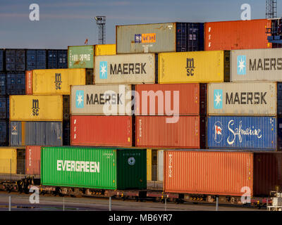 Commercio internazionale - traffico intermodale di container - trasporto di container caricati su autocarri ferroviari a Felixstowe, il più grande porto di container del Regno Unito Foto Stock