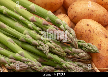 Crudo fresco verde biologico gli asparagi e patate su sfondo di paglia. Asparagus officinalis, Solanum tuberosum Foto Stock