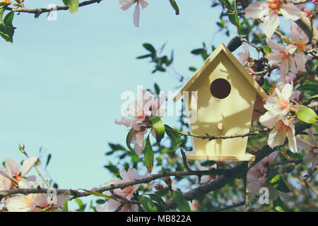 Little birdhouse in spring over blossom cherry tree Foto Stock