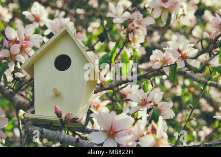 Little birdhouse in spring over blossom cherry tree Foto Stock