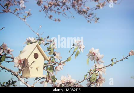 Little birdhouse in spring over blossom cherry tree Foto Stock