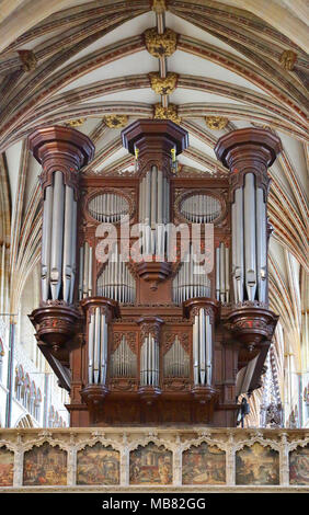 La Cattedrale di Exeter navata e organo Foto Stock