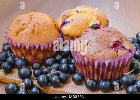 Tre i muffin con ribes nero Foto Stock
