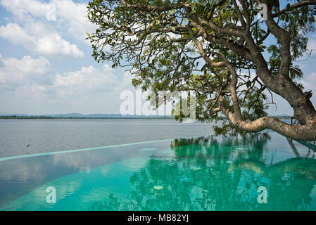 Vista orizzontale attraverso una piscina infinity di Parakrama Samudra serbatoio in Polonnaruwa, Sri Lanka. Foto Stock