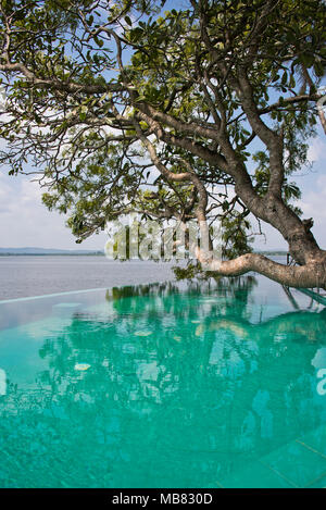 Vista verticale attraverso una piscina infinity di Parakrama Samudra serbatoio in Polonnaruwa, Sri Lanka. Foto Stock