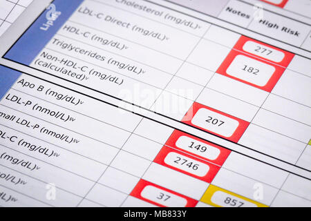 Bandiere rosse ad alto rischio colesterolo - un dettaglio del laboratorio di sangue i risultati degli screening con focus sul pannello di lipidi Foto Stock